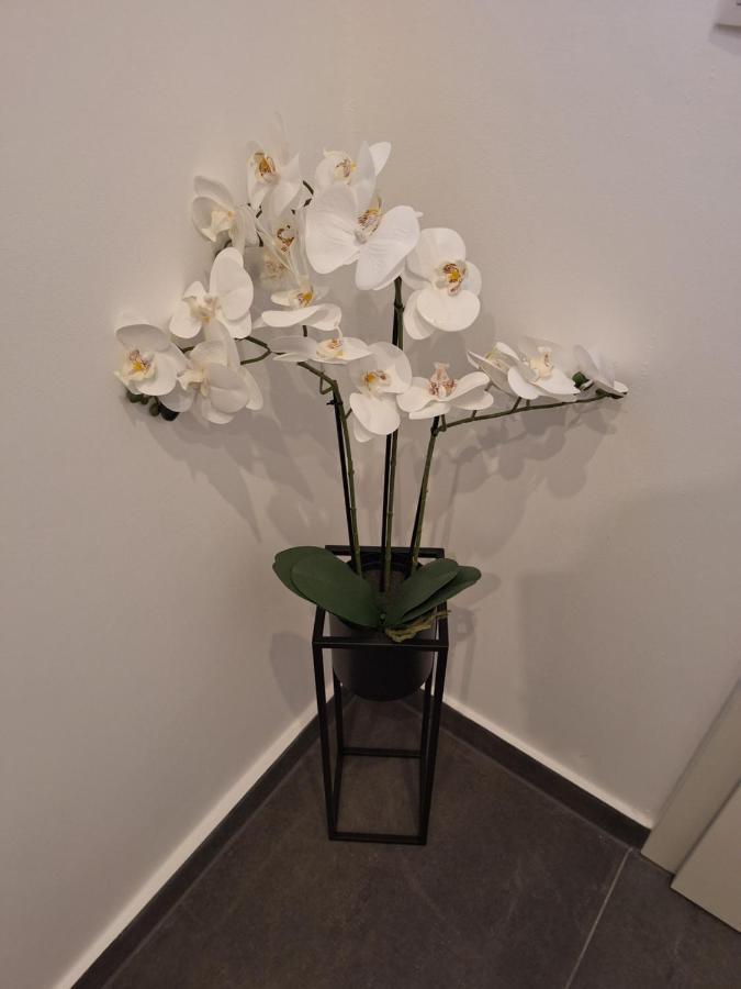 不莱梅Ferienhaus Aycu公寓 外观 照片