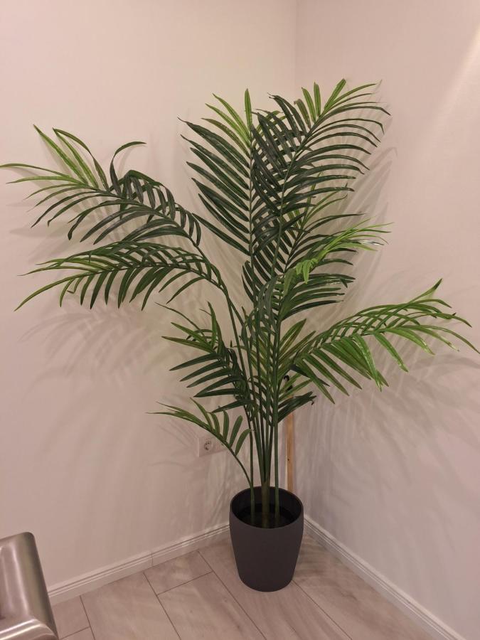 不莱梅Ferienhaus Aycu公寓 外观 照片